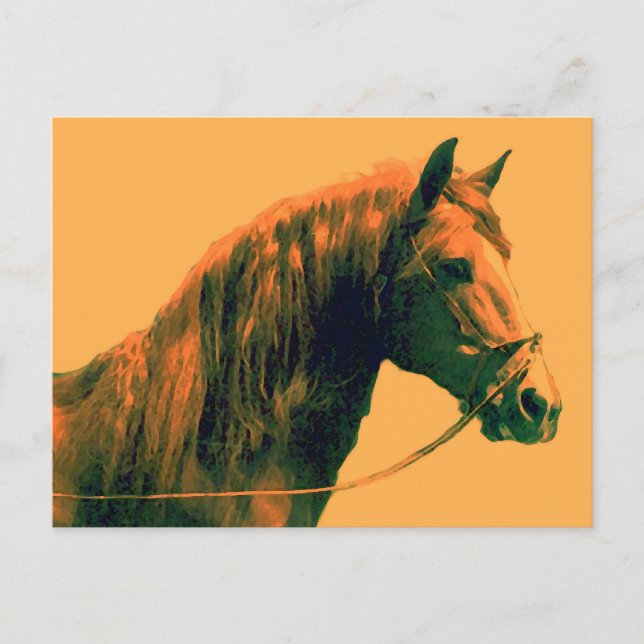 Carte Postale Cheval (Devant)