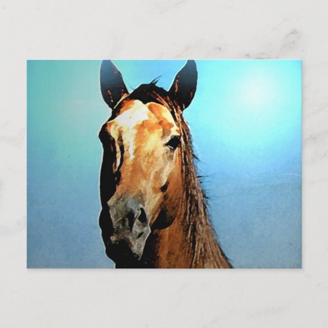 Carte Postale Cheval (Devant)
