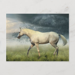 Carte postale Cheval