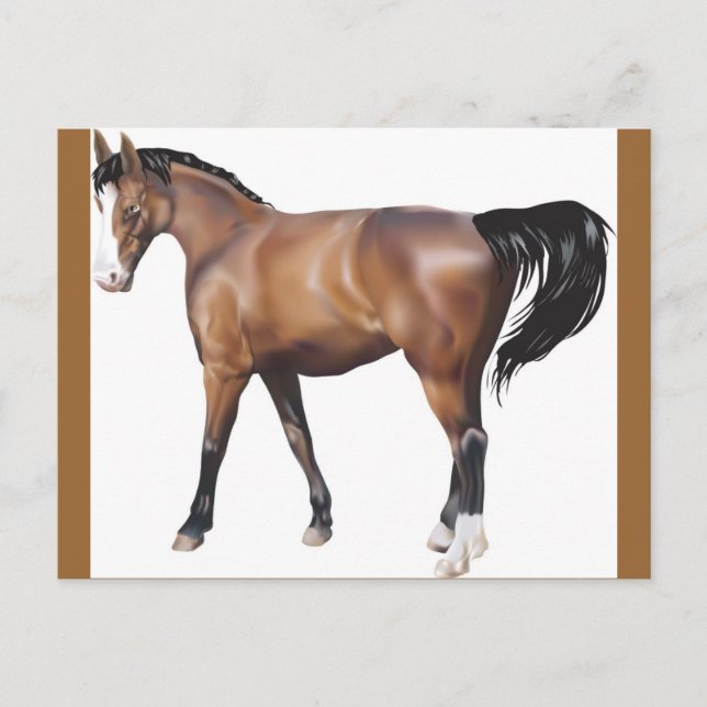 Carte Postale Cheval (Devant)