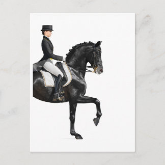 Carte Postale Cheval