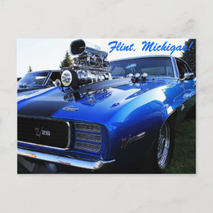 Carte Postale Cheval