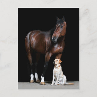 Carte postale Cheval