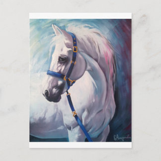 Carte Postale Cheval