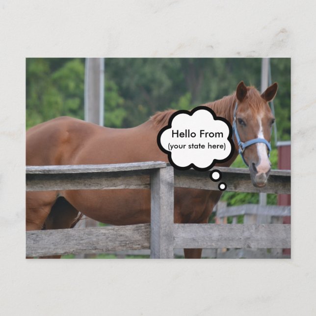 Carte postale/Cheval (Devant)