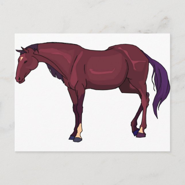 Carte Postale cheval (Devant)