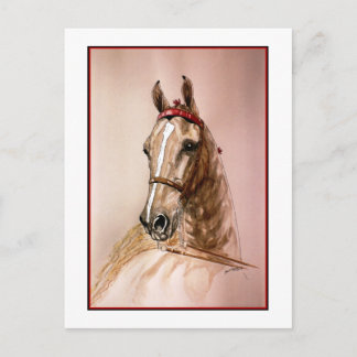 Carte Postale Cheval américain à selle