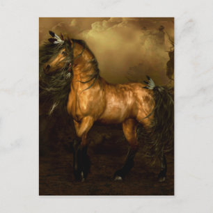 Carte Postale Cheval amérindien Shikoba