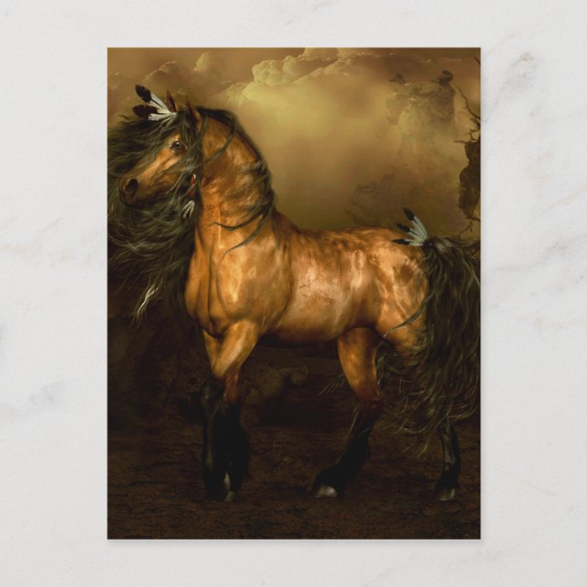 Carte Postale Cheval amérindien Shikoba (Devant)