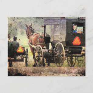 Carte Postale Cheval Amish et Buggy