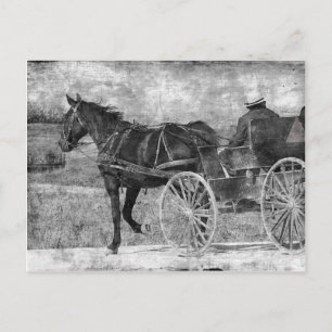 Carte Postale Cheval Amish Trot Away en noir et blanc