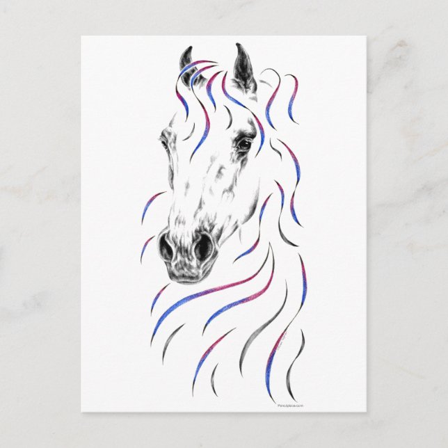 Carte Postale Cheval arabe élégant (Devant)
