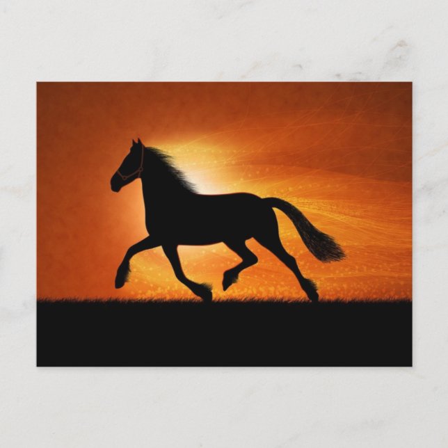 Carte Postale Cheval Au Coucher Du Soleil (Devant)