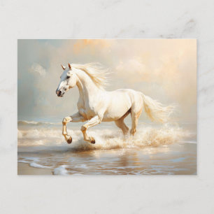 Carte Postale Cheval Blanc courir sur la plage