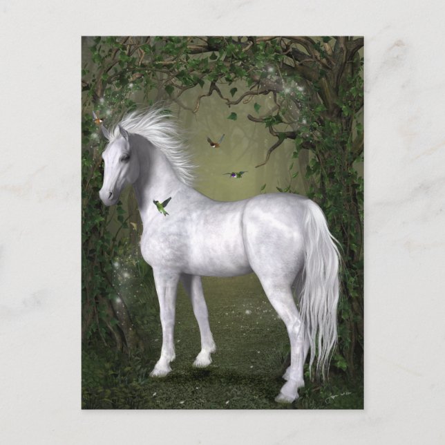Carte postale Cheval blanc dans les bois avec coli (Devant)