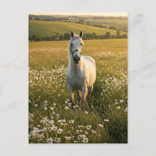 Carte postale Cheval Blanc dans Prairie de Fleurs