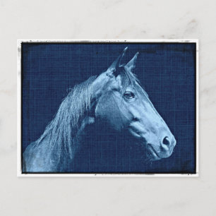 Carte Postale Cheval Bleu