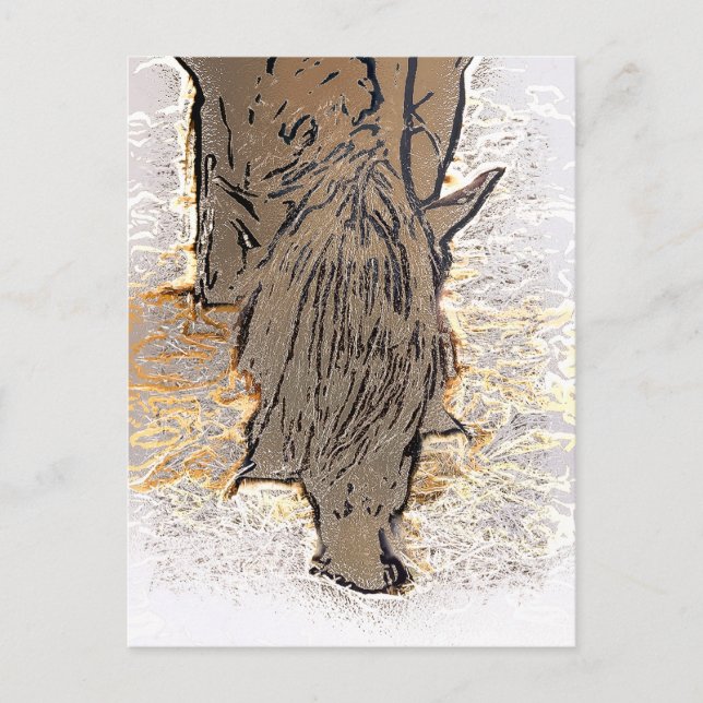 CARTE POSTALE CHEVAL BROWN (Devant)