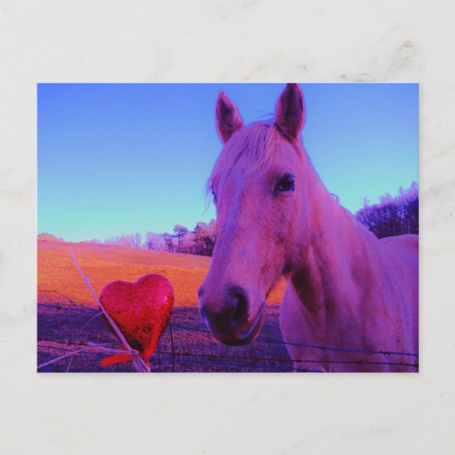 Carte Postale Cheval Brun et Cœur Rouge (Devant)