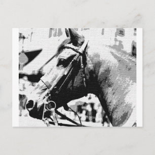 Carte Postale Cheval d'art pop noir et blanc