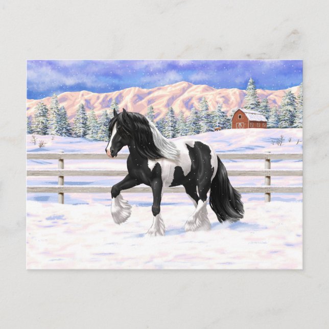 Carte Postale Cheval d'attelage de la bandelette tzigane noire d (Devant)