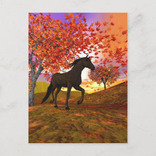 Carte Postale Cheval d'automne