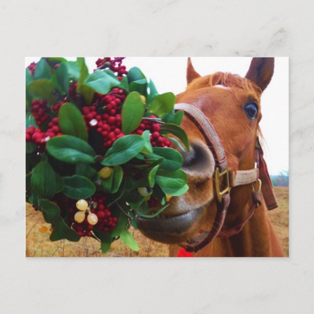 Carte Postale Cheval de baiser sous Mistletoe (Devant)