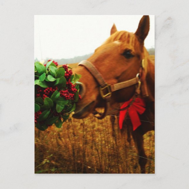 Carte Postale Cheval de baiser sous Mistletoe (Devant)