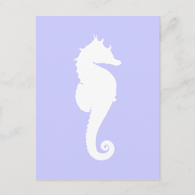Carte Postale Cheval de bord de mer et cheval blanc (Devant)