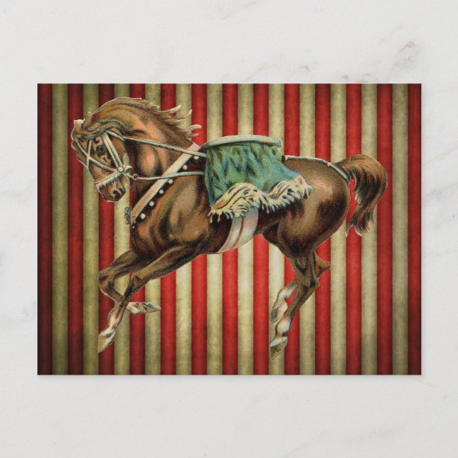 Carte Postale Cheval de cirque vintage (Devant)