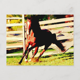 Carte Postale Cheval de course