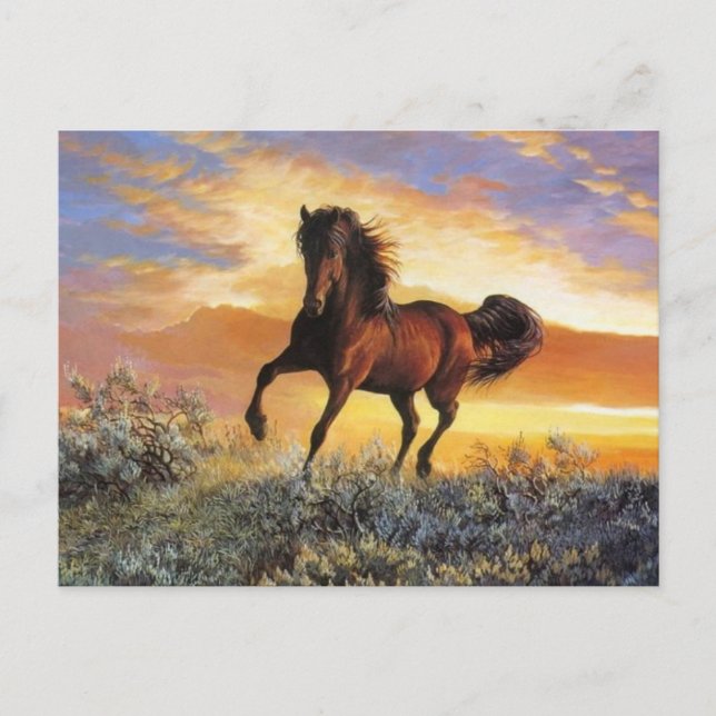 Carte Postale Cheval de course (Devant)