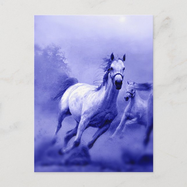 Carte Postale Cheval de course (Devant)