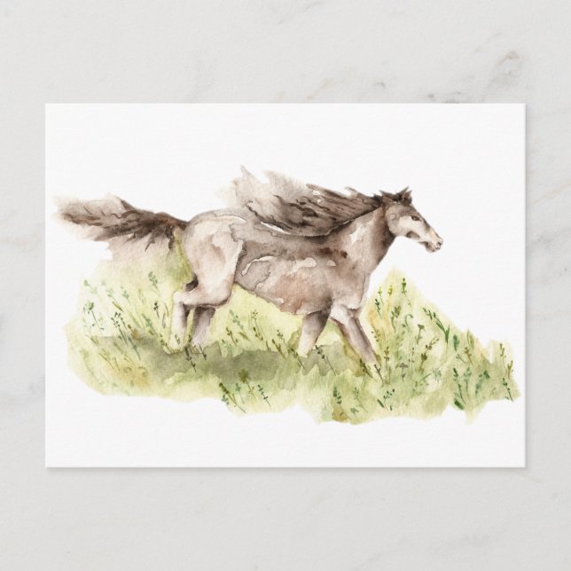 Carte Postale Cheval de course (Devant)