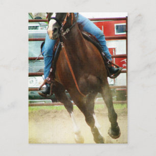 Carte Postale Cheval de course de baril