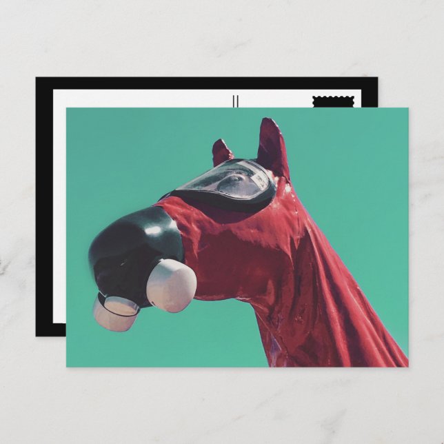 Carte Postale cheval de guerre froide (Devant / Derrière)