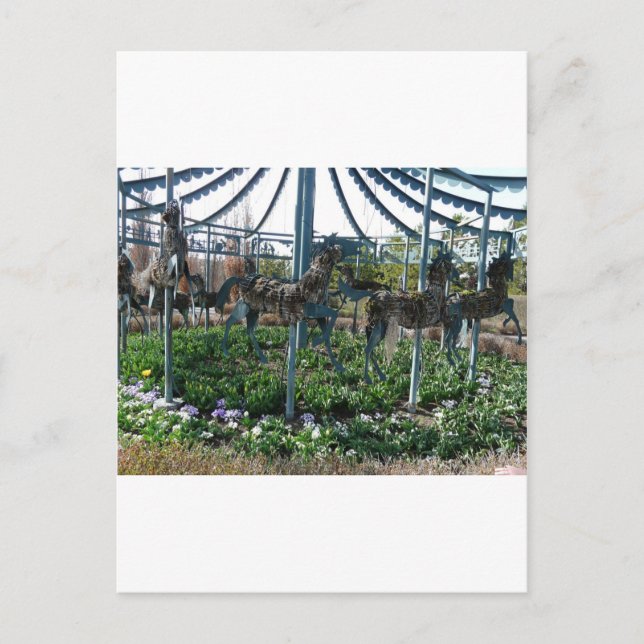 Carte Postale cheval de jardin (Devant)