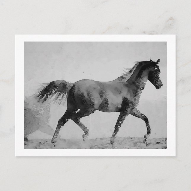Carte Postale Cheval de marche noir et blanc (Devant)