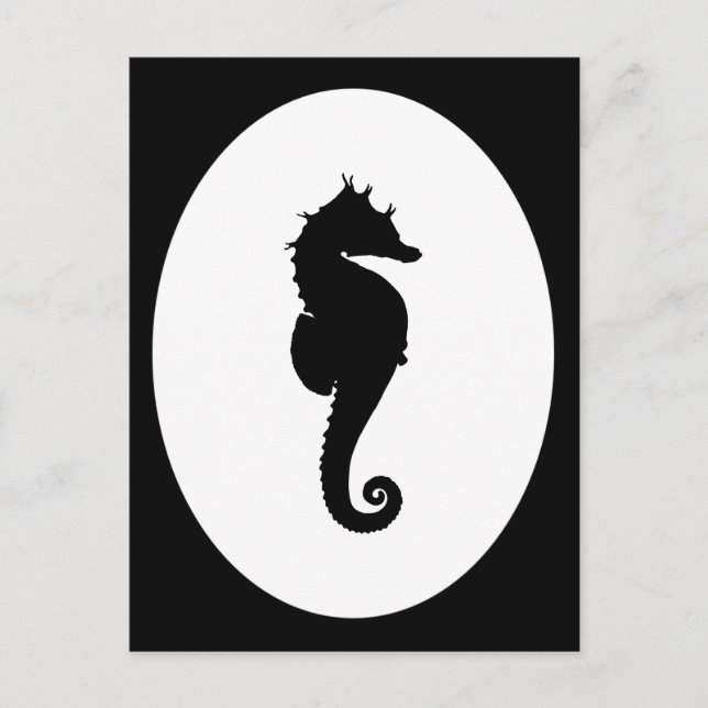 Carte Postale Cheval de mer noir et blanc (Devant)