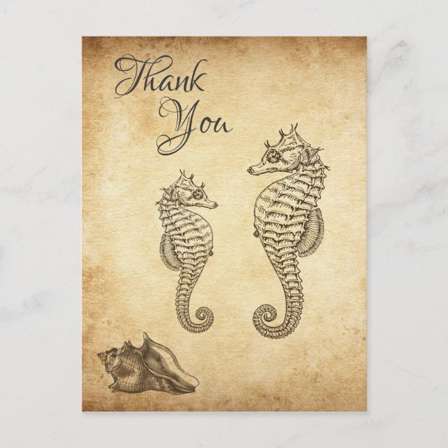 Carte Postale Cheval de mer vintage et Merci de plage Conch Shel (Devant)