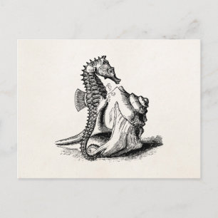 Carte Postale Cheval de mer vintage Trumpet Shell Beach