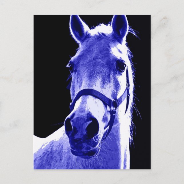 Carte Postale Cheval de nuit (Devant)