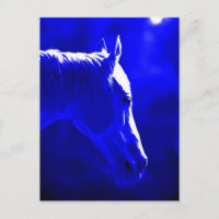Cheval De Nuit - Cheval De Lune