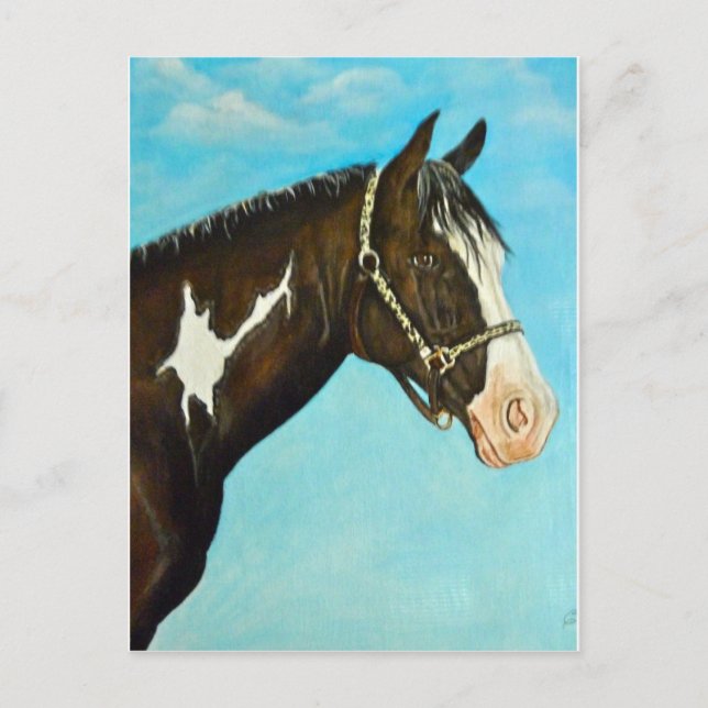 Carte Postale Cheval de peinture (Devant)