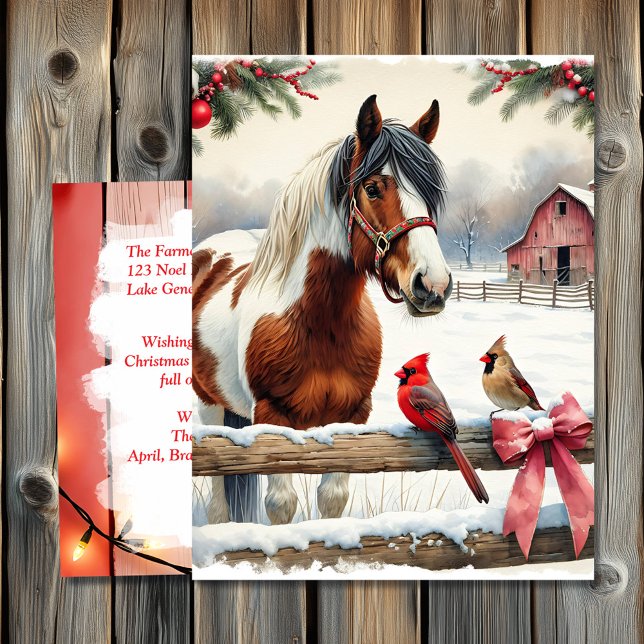 Carte Postale Cheval de Pinto tacheté et cardinaux Personnalisé (Créateur téléchargé)