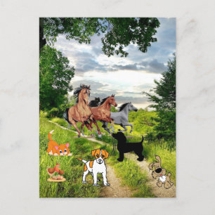 Carte postale Cheval de poulet Chat de chien