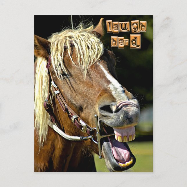 Carte postale Cheval de rire (Devant)