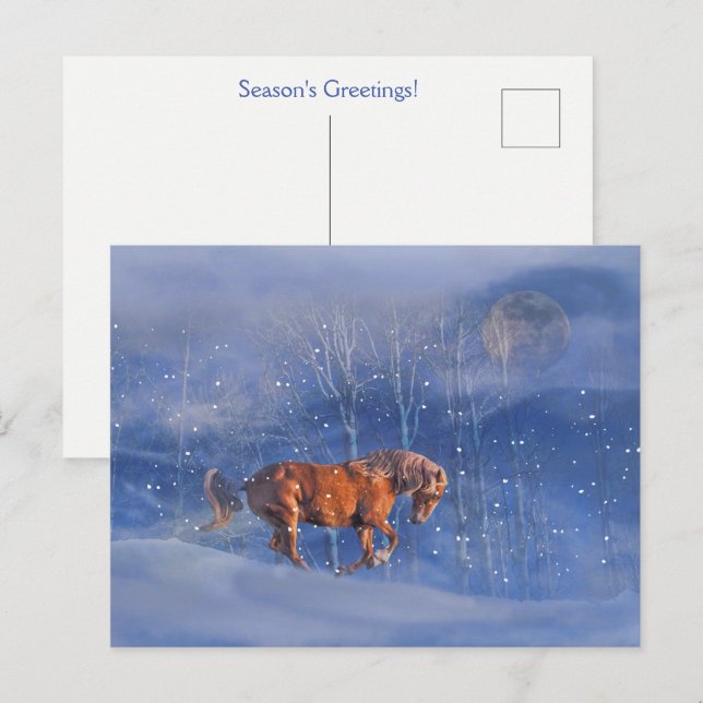 Carte Postale Cheval de vacances en neige jolie (Devant / Derrière)