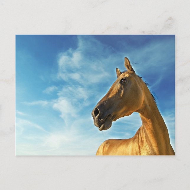 Carte Postale cheval d'or du Turkménistan (Devant)