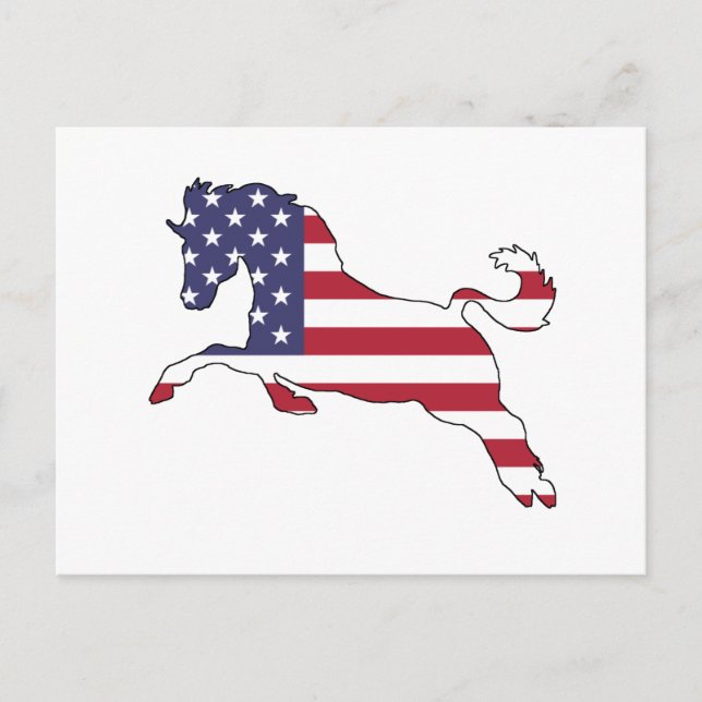 Carte Postale Cheval "drapeau américain" (Devant)